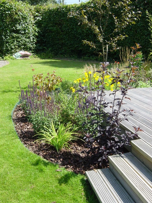 Cottage style planting