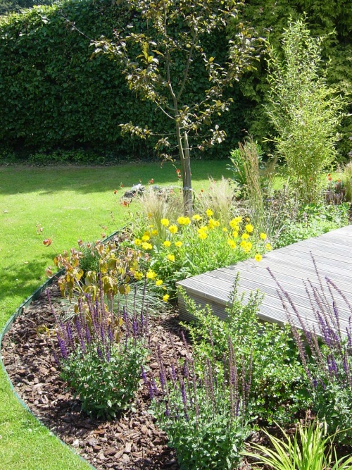 Cottage style planting