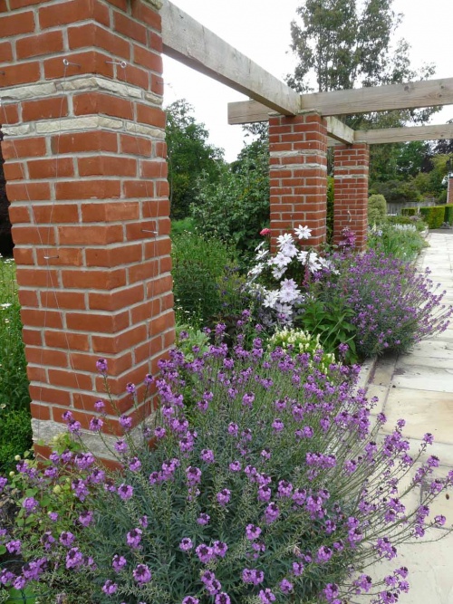Planting on the New Pergola Walkway